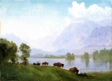  Bierstadt Art Painting - Buffalo Country Albert Bierstadt Landscape